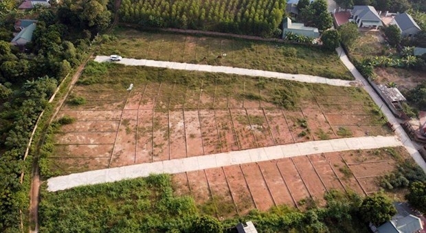 Bất động sản ven đô trầm lắng sau lệnh tạm dừng phân lô
