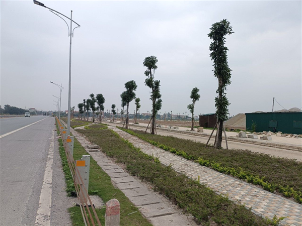 Sức hút đến từ khu đô thị TEELhomes Tràng An - Dự án trọng điểm của tỉnh Hà Nam